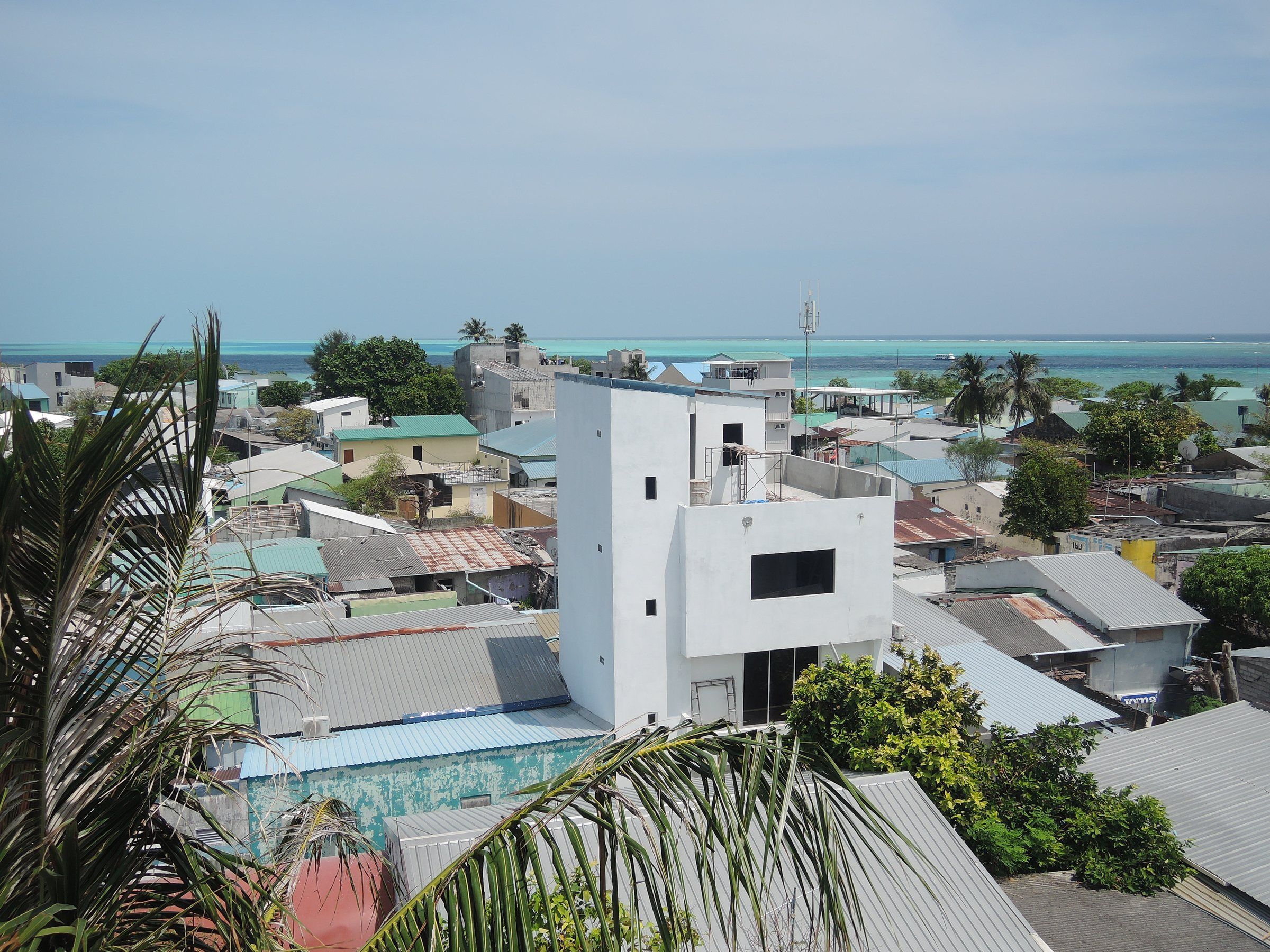 Rooftop view over the houses and palm trees of Gulhi village